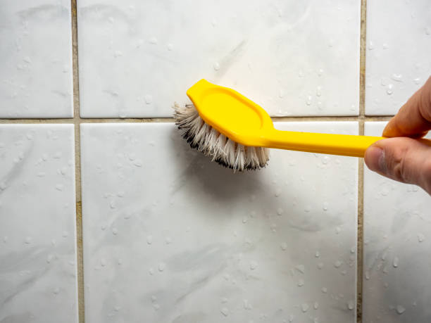 Best Mold Damage Repair  in Santa Rosa Valley, CA