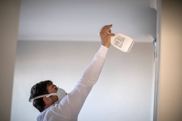 Best Same-Day Mold Removal  in Santa Rosa Valley, CA