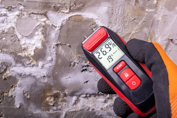 Best Mold Testing  in Santa Rosa Valley, CA