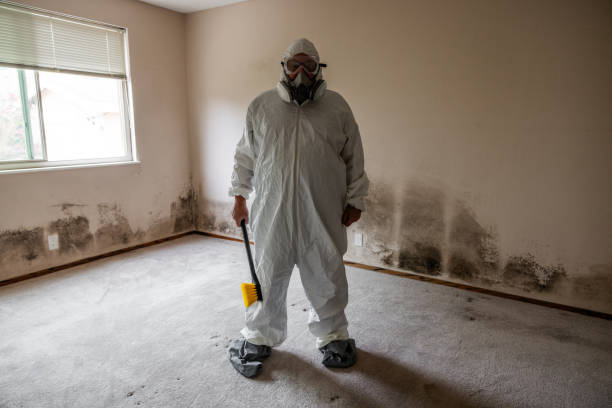 Best Black Mold Removal  in Santa Rosa Valley, CA